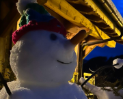 Offrez du sens, pas un écran 🎄