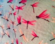 Le jardin du 11 Juillet