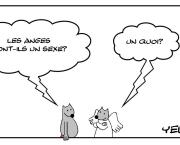 Le sexe des anges