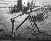 22 La revanche des chats