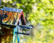 Les ailes coupées ?