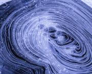 Amit a boldogságról tudni érdemes