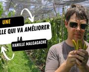 Le Brésil va révolutionner le monde de la vanille
