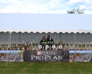 NORTHEN REGIONAL DOBERMANN SHOW - FRANCE