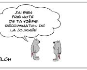Récriminations et couple