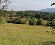 Exercice d'écriture 5 mots imposés (en caractère gras)