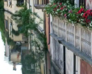 11- Padoue (1537-1543)