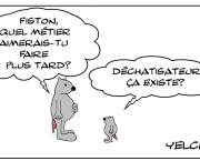 Déchatisateur