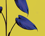 REGINE INSIDE Autodeterminarsi con Gentilezza