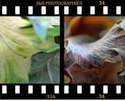 La photographie contemporaine