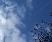 Symbolique du papillon (1) : Envol