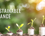 Sustainable Finance Lessons and Best Practices