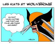 Wolverine , le rat et le rémouleur