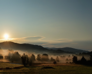 MATINÉES DE L’ÊTRE