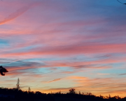 Ciel