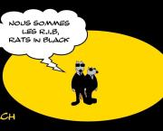 Rats In Black