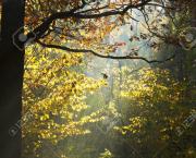 Grandir sans l'amour d'un père