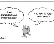 Il n'y a pas un rat? Mais si!