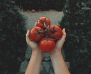 Clafoutis tomates, épinards et feta