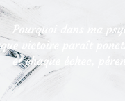 Victoire et échec