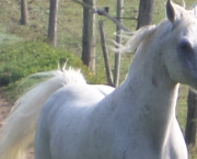 N'attends pas le dernier jour de ta vie ...