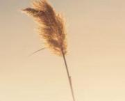 Auteure ? Ecrivaine ou simple fan de l'écriture ?