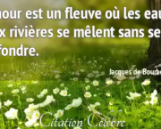 Amour