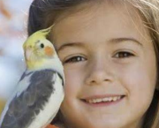 L'oiseau et l'enfant