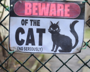 L'affaire du Chat perché...
