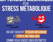 La tension mécanique et le stress métabolique