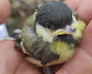 Parenting Tips from Mother Nature