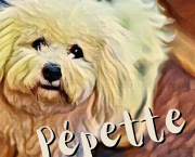Pépette