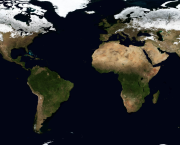 Amérique-Europe: deux visions du monde, deux féminismes, une même quête d'égalité