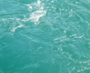 Premier texte: Amour, monde et toi.