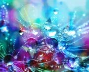 J'aime pas les cases