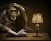 Le singe