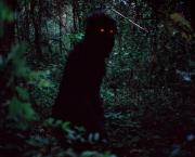 Oncle Boonmee, celui qui se souvient de ses vies antérieures (LOONG BOONMEE RALEUK CHAAT, Apichatpong WEERASETHAKUL (2010)