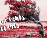 Aux vents errants