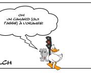 Canard à l'orange