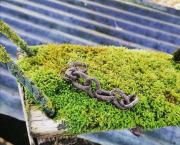 Peut-être que j'ai voulu tué ma psy aussi