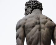 Les sciences humaines sont-elles utiles ?