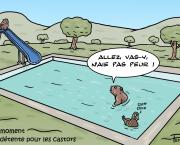 un moment de détente pour les castors