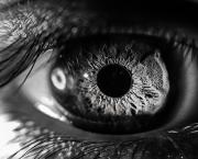 Les larmes de nos vies