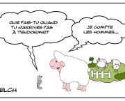 Quand les moutons dorment