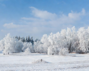 La neige qui illumine