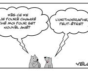 Baune raisoluçion