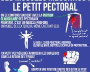 Ces muscles méconnus : le petit pectoral