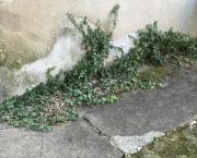 Le jardin du 27 Juillet