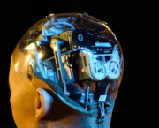 Haut Potentiel Intellectuel