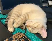 Pourquoi je n’accepte pas toutes les demandes de connexion